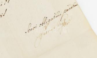1786 Végh Péter (1723-1807) koronaügyész, tárnokmester, kir. személynök hivatalos levele latin nyelv...
