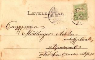 1905 Kenderes, templom, Cserna Endre üzlete (felszíni sérülés / surface damage)