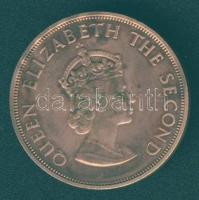 Jersey 1966. 1/12Sh "Normann hódítás" T:exPP