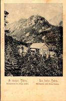 Tátra, Magas-Tátra, Vysoké Tatry; Középorom és Zerge szálló. Divald Károly 327. sz. / Mittelgrad und Hotel Gemse (fl)