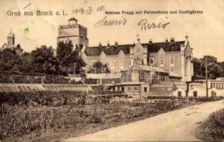 1914 Lajtabruck, Bruck an der Leitha; Schloss Prugg mit Palmenhaus und Zuchtgärten / Pálmaház a Prugg kastély kertjében. J. Sagl utóda O. Deyssig kiadása / palm house in the castle garden (fl)