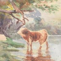 Jelzés nélkül: Ember és tehén a vízparton. Akvarell, papír. Üvegezett fakeretben 20x25 cm
