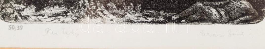 Tarjáni Simkovics Jenő (1895-1995): Kis tájkép, rézkarc, papír, jelzett, számozott (50/39). Üvegezet...