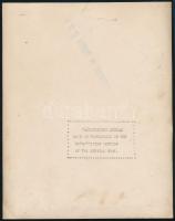 cca 1930-1940 Filmjelenet kutyával, hátoldalon pecséttel jelzett fotó, sarkain törésnyom, 20×25,5 cm