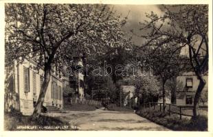 Aflenz (Steiermark), Höhenluft Kurort / spa, street view (vágott / cut)