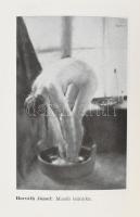 Pipics Zoltán Dr.: Tárlatvezető. A művészet zsebkönyve.
Bp.,(1940.),Szerzői, (Légrády-ny.), 224 p. ...