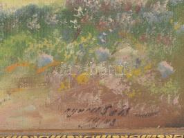 Agárdi Soós Lajos (működött a XX. sz elején-közepén): Libapásztorlány. Olaj, vászon, jelzett. Dekora...