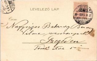 1899 (Vorläufer) Temesvár, Timisoara; Losonczy tér, szerb püspöki palota. Corvina könyvkereskedés ki...