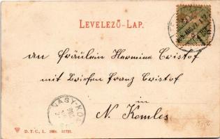 1906 Temesvár, Timisoara; Szent György tér, Első Takarékpénztár, Leitenbor József üzlete / square, s...