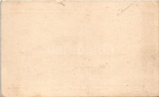 Temesvár, Timisoara; "Banatia" Deutsches Schülerheim. Gib auch Du einen Stein dazu! 1 Stei...