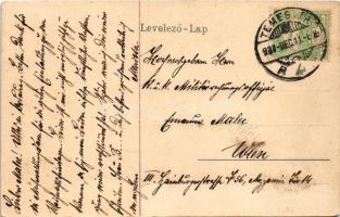 1907 Temesvár, Timisoara; Bega részlet, halászhajók / riverside with fishing boats