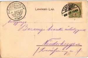 1902 Temesvár, Timisoara; Scudier szobot. Polatsek-féle kiadása / monument (EK)