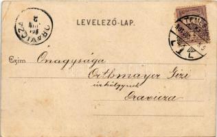 1901 Temesvár, Timisoara; Józsefváros, elemi iskola. Polatsek-féle kiadása / Iosefin, school. Art No...