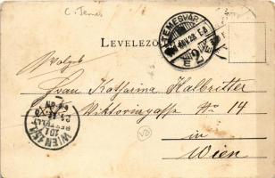 1900 Temesvár, Timisoara; Városligeti kioszk és korzó. Schmidt Edgar kiadása / Kiosk und Rondeau im ...