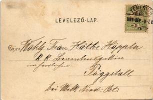 1903 Temesvár, Timisoara; Gyárváros, Béga részlet, malom. Polatsek-féle kiadása / Fabric, riverside,...