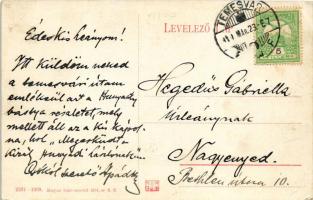 1911 Temesvár, Timisoara; Hunyady vár / castle (EK)