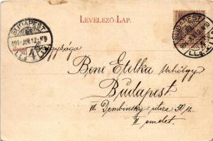 1901 Temesvár, Timisoara; Nyaraló a Bega csatorna mentén. Králicsek Béla kiadása / villa on the rive...