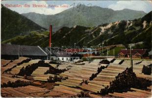 1925 Brezoi, Brezoiu (Valcea); Fabrica Lotru / sawmill, timber factory (EK)