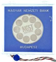 1974. 100Ft Ag "25 éves a KGST" plombált, sérült MNB tokban T:UNC (eredetileg PP)
Adamo E...