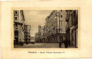 Trieste, Trieszt; Corso Vittorio Emanuele III / street view, shop of Greinitz (fl)