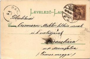 1901 Szatmárnémeti, Satu Mare; Kossuth kert Városi kioszk. Lővy Miksa kiadása / kiosk in the park (E...