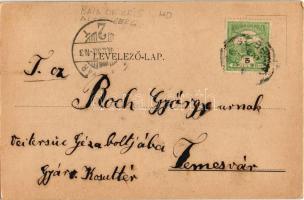 Körösbánya, Kőrösbánya, Altenburg, Baia de Cris; Katolikus templom / church