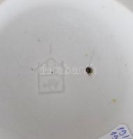 Hertwig - Katzhutte női akt. Jelzett, restaurált, m: 23,5 cm