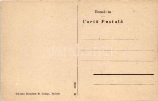 Szelistye, Salistea Sibiului, Saliste; Pavilionul de joc. Editura Dumitru B. Comsa / zene és előadó ...