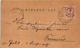 1897 (Vorläufer) Buziás, Buziásfürdő, Baile Buzias; Gyógyterem, Mihály-forrás, Meleg fürdő, Fasor a ...