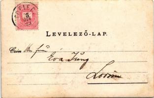 1898 (Vorläufer) Toplec, Csernahéviz, Toplet; tekepálya a vendéglő udvarán / bowling alley in the re...