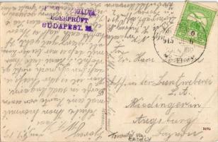 1915 Újszentiván (Szeged), Gazdakör, Gazdák Szövetsége, Községháza utcával (EB)