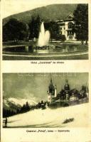 1940 Sinaia, Hotel Caraiman cu abuzu, Castelul Peles iarna, Sporturile / hotel, castle, winter sport, ski and sled (EK)