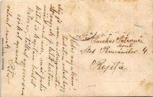 Anina, Stájerlakanina, Steierdorf; vasgyár. Hollschütz / iron works, factory (fl)