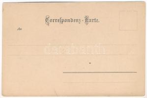 Achensee (Tirol), Seespitz (wet damage)