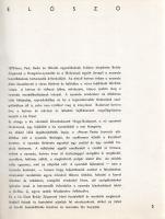 Hatvan esztendő: 1873-1933. A Hungária Nyomda Rt. 60 esztendős jubileuma. Írták Bárczy István, Lyka ...