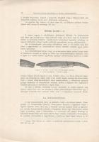 Jaekel Ottó: 
Gerinczes állatok maradványai a Bakony triaszrétegeiből. Tíz szövegközti ábrával. (Ló...