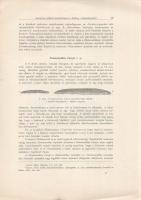 Jaekel Ottó: 
Gerinczes állatok maradványai a Bakony triaszrétegeiből. Tíz szövegközti ábrával. (Ló...