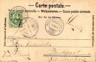 1903 Rochers de Naye, rack railway station (EK)