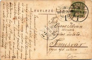 1906 Brassó, Kronstadt, Brasov; Partie am Schuler / Kirándulás Keresztényhavasra, menedékház / Escur...