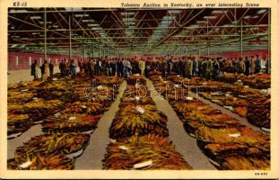 Kentucky, Tobacco Auction in Kentucky, an ever interesting scene (EK)