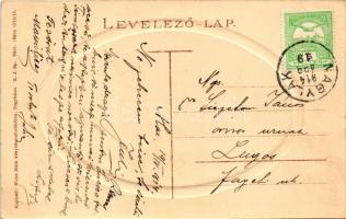 1914 Nagylak, Nadlac; Liget. Weisz Márk kiadása / park