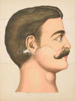 Dr. Schmidt: Az emberi fej és nyak boncztana írásban és képben. Bp., Lauffer Vilmos. Kiadói félvászo...