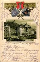 1902 Ljubljana, Laibach; Spitalgasse. J. Bonac / street. Art Nouveau, floral litho with embossed coat of arms (fl)