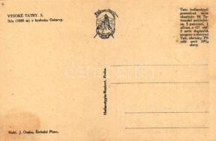 Tátra, Magas-Tátra, Vysoké Tatry; Ihla v hrebenu Ostervy. Hollarotypie-Neubert