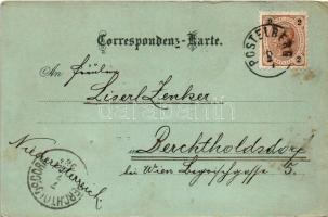 1898 (Vorläufer) Postoloprty, Postelberg; night. Karl Fritsche Art Nouveau, floral, litho (surface d...