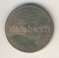 Jersey 1888. 1/12Sh Viktória T:3 ph