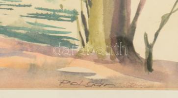 Polgár jelzéssel: Vízparti táj. Akvarell, papír, üvegezett fakeretben, 44×30 cm