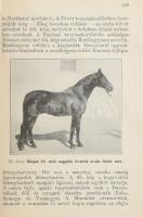 A gazdálkodók utmutatója. Hasznos tudnivalók a földbirtokreform kapcsán földhöz juttatottak, továbbá...