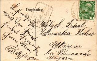 1910 Radenín (Tábor), Zámek / castle and park. Art Nouveau, floral (fl)