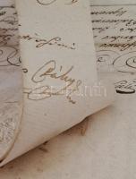 1772 gr. Csáky János (1720-1795) Szepes vármegye főispánja, későbbi országbíró, főtárnokmester, sajá...